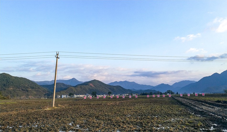 铅山县2017统筹整合资金推进高标准农田建设项目1标段