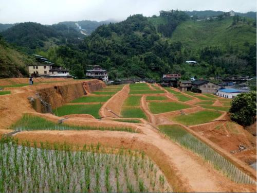 萍乡湘东高标准农田建设：开启乡村振兴新征程